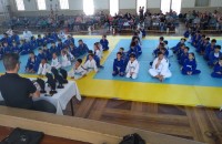 judo 