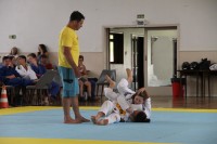 IMG_3550.JPG