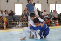 IMG_3524.JPG