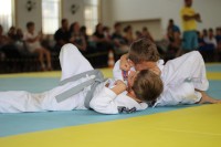 IMG_3862.JPG