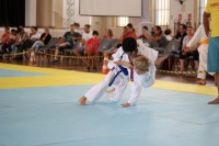 IMG_3925.JPG