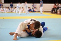 IMG_3941.JPG