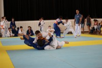 IMG_4034.JPG