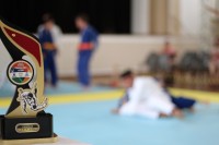 IMG_4166.JPG