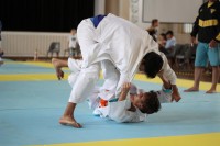 IMG_4237.JPG