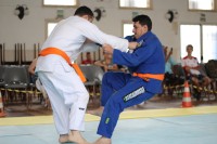 IMG_4242.JPG