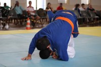 IMG_4247.JPG
