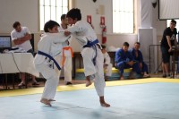 IMG_4337.JPG