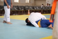 IMG_4375.JPG