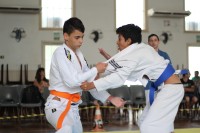 IMG_4456.JPG