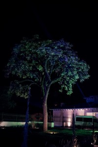 Foto por Vitor Mohr