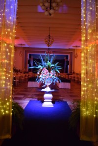 DSC_0281_Easy-Resize.com (1).jpg