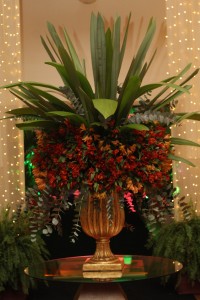IMG_7899.JPG