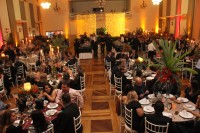 IMG_7843.JPG